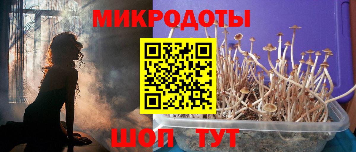 Галлюциногенные грибы прущие грибы Кореновск